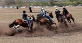 Finale Stock à Plat Course Hippique Foire de Koumac et du Nord Nouvelle-Calédonie