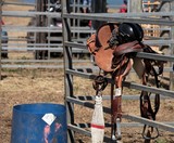 Selle de Rodeo Foire de Koumac et du Nord 2016 Nouvelle-Calédonie