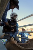 Bull rider sur son taureau Foire de Koumac et du Nord 2016 Nouvelle-Calédonie