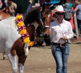 Récompense concours races équines Foire de Koumac et du Nord 2016 Nouvelle-Calédonie