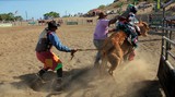 Rodéo Kid Foire de Koumac et du Nord 2016 Nouvelle-Calédonie