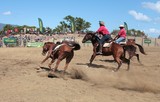 Arène de rodéo travail des stockmen Foire de Koumac et du Nord 2016 Nouvelle-Calédonie