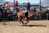 A bronc rider wearing batwing style rodeo chaps Rodéo Foire de Koumac et du Nord 2016 Nouvelle-Calédonie