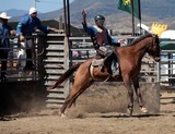 Bronc riding Foire de Koumac et du Nord 2016 Nouvelle-Calédonie