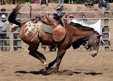 Chute rodéoman Foire de Koumac et du Nord 2016 Nouvelle-Calédonie