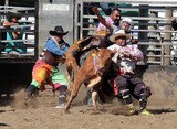 Foire de Koumac et du Nord 2016 Nouvelle-Calédonie