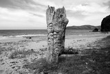 Statue de la baie des Tortues sculpture turtle baie Bourail Nouvelle-Calédonie photo en noir et blanc