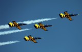 L-39C Albatros BALTIC BEES JET TEAM al-ain air show dramatic fly group aircraft airplane blue and hyellow stripes