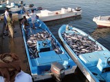 Bateaux de pêche Omanais