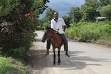 fijian horseman stallion equitation monter sans selle canasson Fidji cavalier randonnee equestre