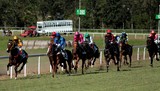 Eleveur propriétaire jockey course hippique Tradition Nouvelle-Calédonie