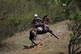 Course de stock des collines foire de Koumac 2012 Nouvelle-Calédonie
