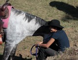 Cavalière et son cheval gris foire agricole de Bourail Nouvelle-Calédonie 2012