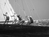 Race of Dhow traditional Arab sailing Vessel Abu Dhabi United Arab Emirates