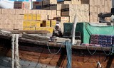 Docker Abu Dhabi fish market موانئ أبوظبي dhow Iranian United Arab Emirates