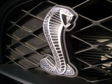 Logo serpent Cobra callandre Ford mustang Shelby GT500