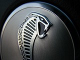 Détail du logo en forme de tête de cobra Ford mustang Shelby GT500