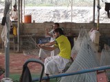 Dibba Oman Sultanat fish trap manufacture