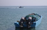Sultanat d'Oman Dibba pecheur barque moteur yamaha fishermen musandam