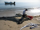 Sultanat d'Oman Dibba fisherman on the sand musandam fishnet 