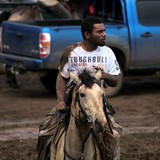 Toughbull fashion horse riding New Caledonia