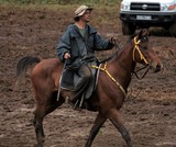 Stockman sur un cheval en Nouvelle-Calédonie Rodéo de la foire Agricole de Thio