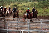 Cheval équitation course concours equestre Foire de Thio Nouvelle-Calédonie