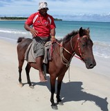 Guide equestre Fidji plage de sable blanc touriste equin cheval Fiji horse riding
