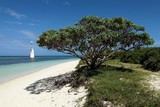 ilot phare amedee plage de sable blanc arbre