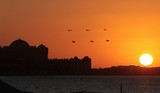 helicopters and flag national day abu dhabi uae 40th anniversary emirate palace sunset