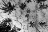 Nuage et cocotiers Nouvelle-Calédonie plage de la Moara