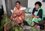 Marche de Suva femmes vendant maata écrevisse rouge pleine de terre