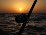 Canne au couché du soleil mer moulinet Daiwa passion de la pêche traine