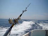 Pêche à la traine en mer Technique test matériel combat pêche au gros