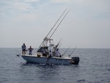 Bateau de pêche sportive Méditerranée