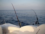 Cannes à pêche sur le golf Persique traine en eau chaude