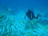 Plongée mer Rouge Egypte scuba diving Red Sea Hurgadha