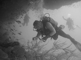 Plongeurs sous plafond spéléologie activité souterraine plongée sous-marine Maldives