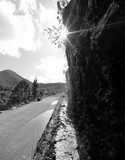 Photo noir et blanc Randonnée Dumbéa Nouvelle-Calédonie