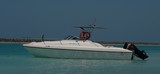 Sea breeze 26 Gulf craft marine 250 Cv Hors Bord Suzuki Abu Dhabi United Arab Emirates