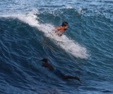 surfeur tahiti vague déferlante mytique spot de surf polynésie française french polynesia