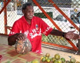 vieux vendueur de legume marche de sigatoka old maket seller vegetable fruits  vieux bonhomme avec le sourire fidji fiji
