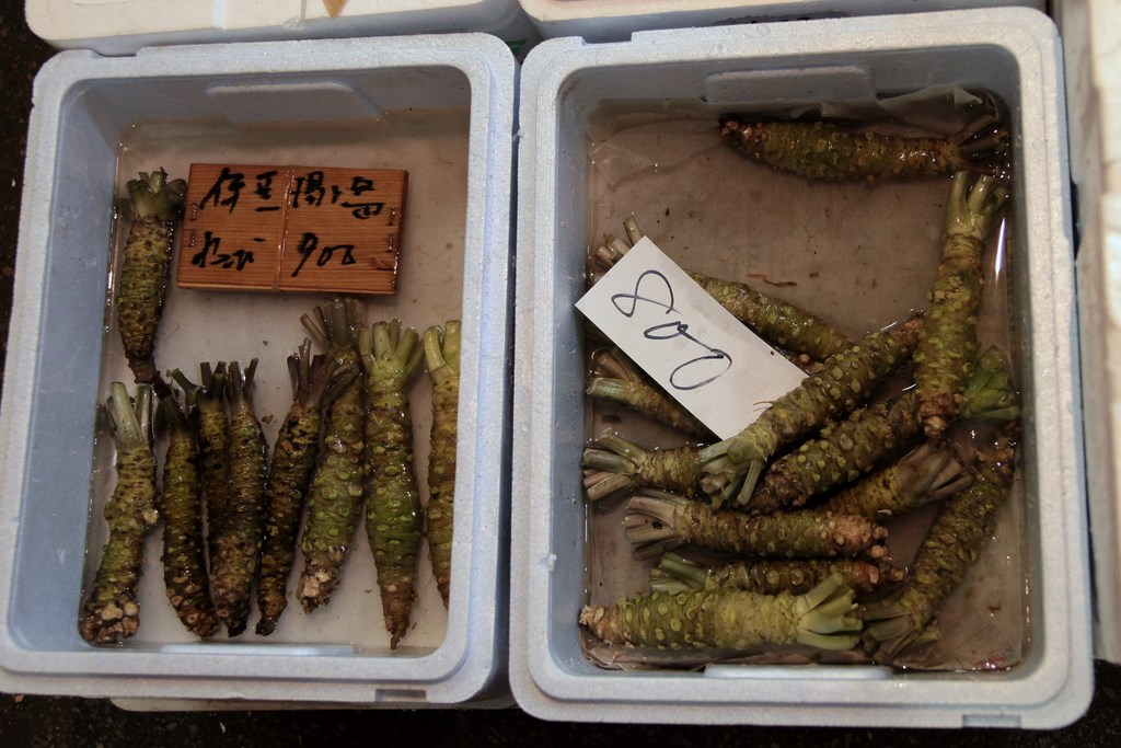 Wasabi roots vegetable market Tokyo Tsukiji central wholesale market Japan