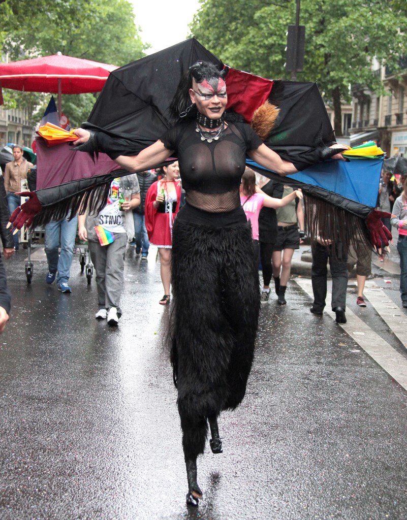Gay Pride Paris 2014 fiertés lesbiennes gaies bi trans homophobie homosexuel