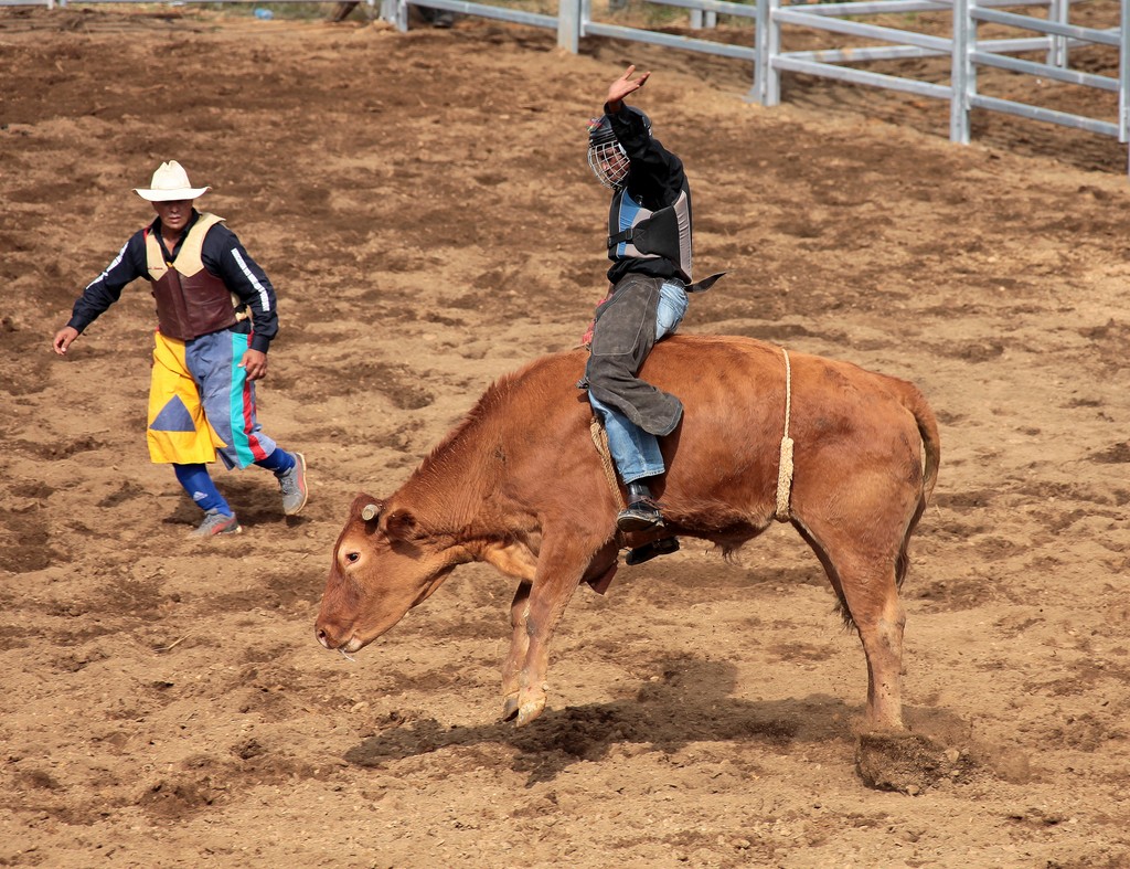 Spectable rodéo Fête de Boulouparis 2015 Nouvelle-Calédonie