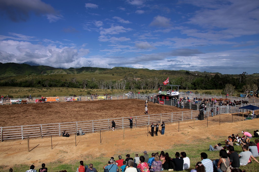 Photographie Carré rodéo Fête de Boulouparis 2015 Nouvelle-Calédonie