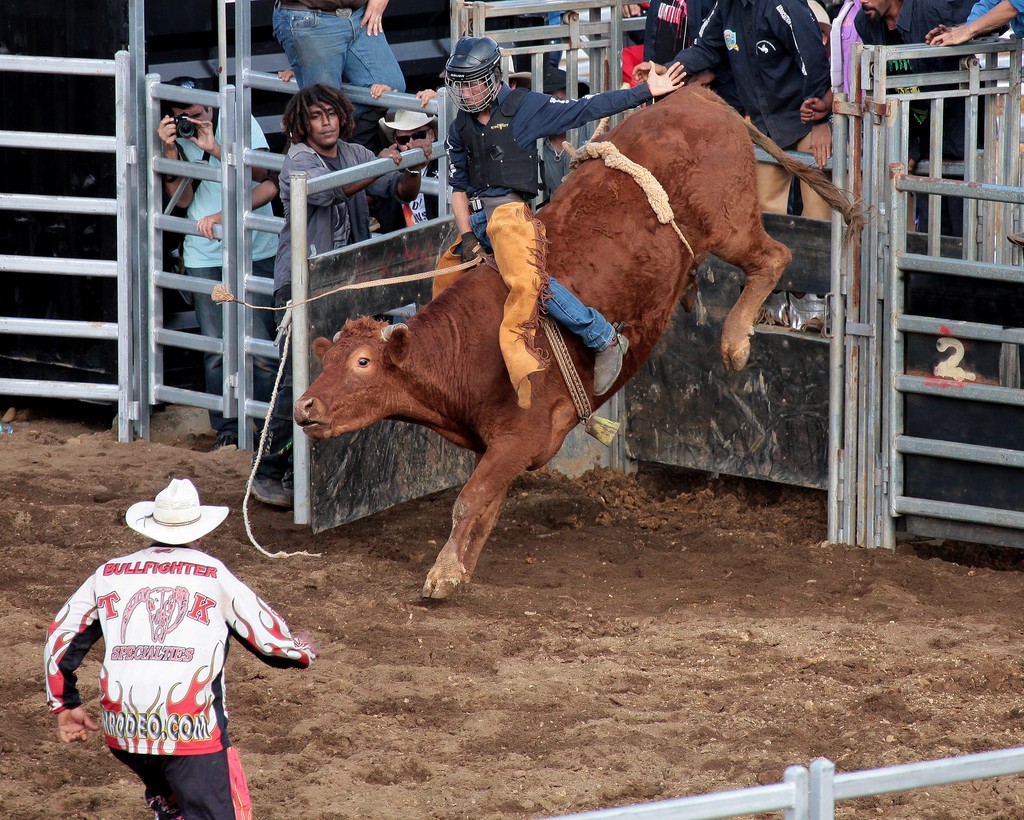 Spectable rodéo Fête de Boulouparis 2015 Nouvelle-Calédonie