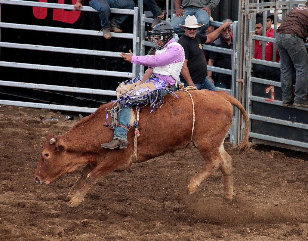 Spectable rodéo Fête de Boulouparis 2015 Nouvelle-Calédonie