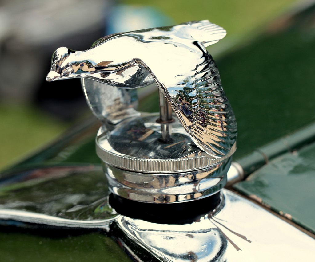 Bird radiator cap Clearance