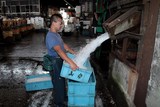 Blocks of ice perishable foods supplier cooling stuff Tsukiji Tokyo Metropolitan Central Wholesale Market Japan  東京都中央卸売市場